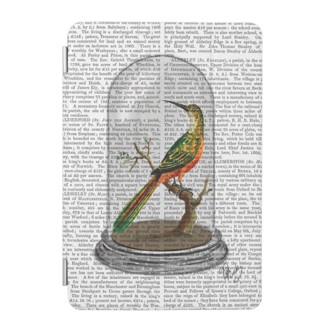 Bird In Bell Jar iPad Mini Cover (Front)