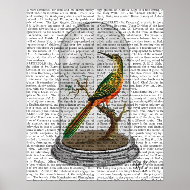 Bird In Bell Jar Poster (Front)