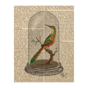 Bird In Bell Jar Wood Wall Art