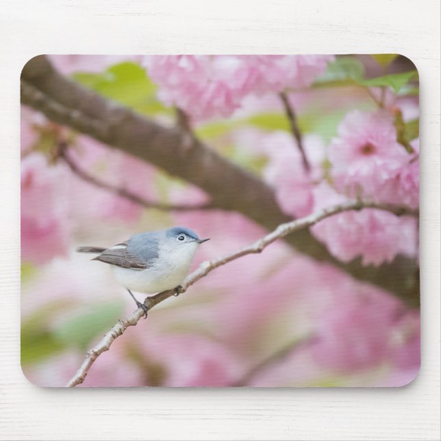 Bird in Blossom Tree Mouse Pad (Front)