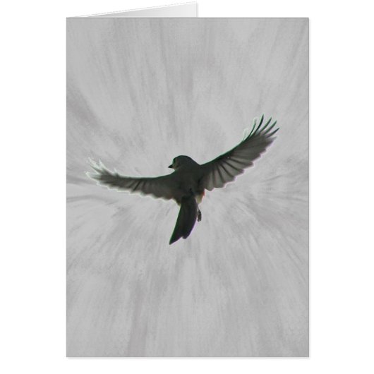 Bird in Flight Cards (Front)