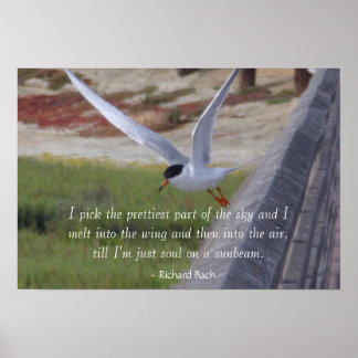 Bird in Flight - Inspirational Poster