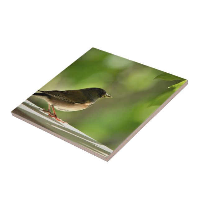 Bird in green leaves background ceramic tile (Side)