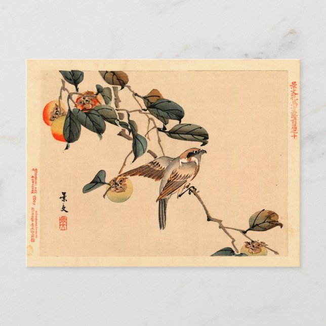 Bird in PersimmonTree Postcard (Front)