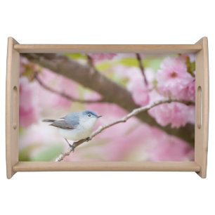 Bird in Pink Blossom Tree Serving Tray