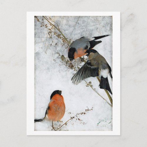 Bird in Snow Bruno Liljefors Postcard