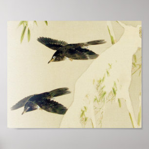 Bird in Snow Scene, Watanabe Seitei Poster