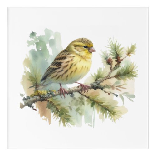 Bird in Spring Watercolor  Acrylic Print