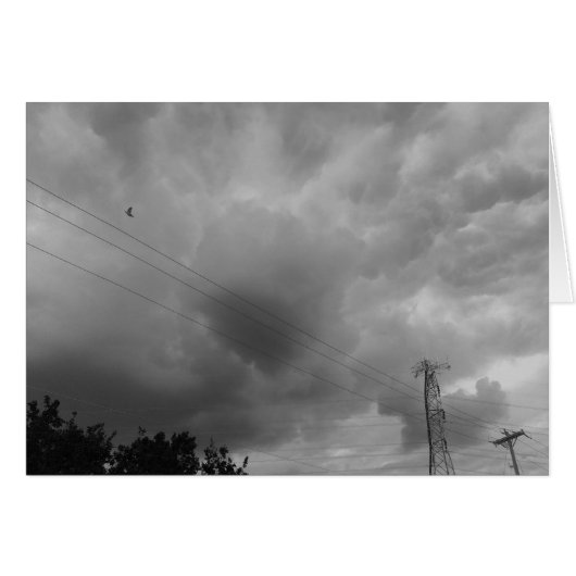 Bird in the Cloudscape / Noir Cards (Front Horizontal)