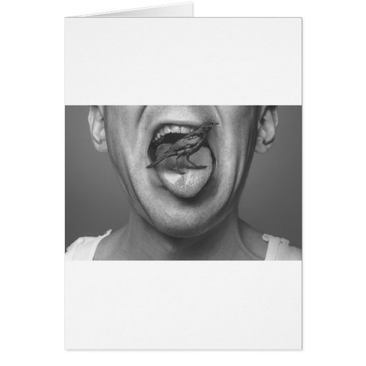 Bird in the mouth cards (Front)