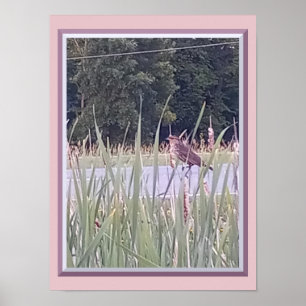 Bird in the Tall Grass Poster