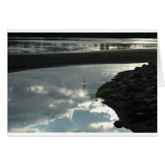 Bird in the Water Cards (Front Horizontal)