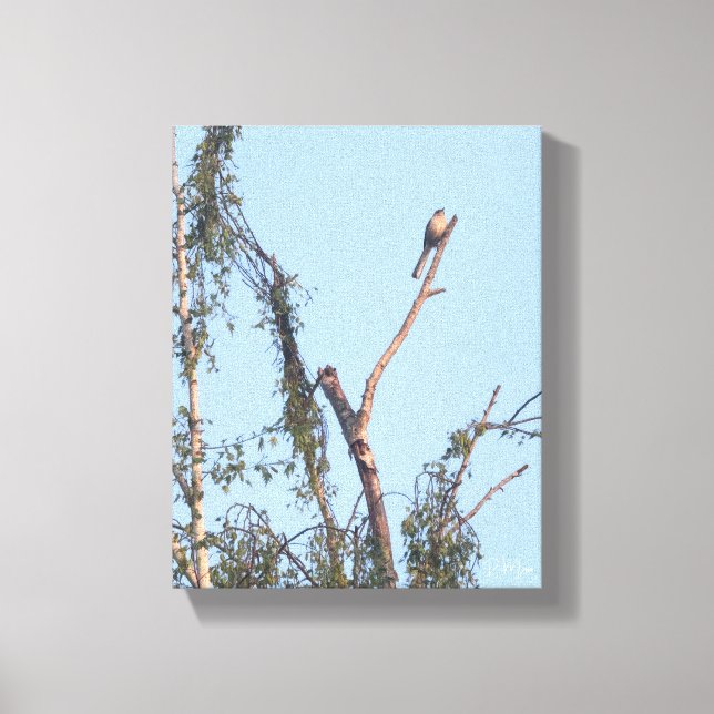 Bird in Tree Wall Art (Front)
