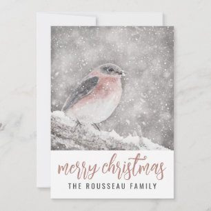 Bird In Winter Snow Merry Christmas Holiday Card