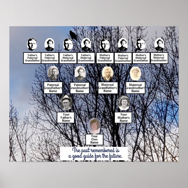 Bird in Winter Tree Photo Family Tree Poster (Front)