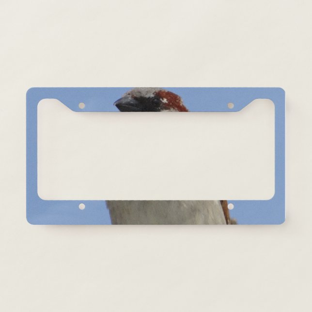Bird is watching you license plate frame (Front)