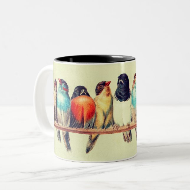 Bird lover birds nature wilderness birdy Two-Tone coffee mug (Front Left)