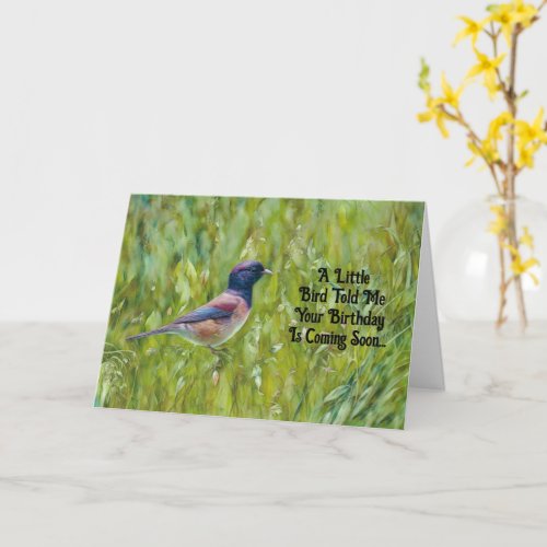 Bird Lover Cute Bird Birthday Card Friend
