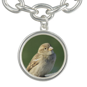 Bird Lover Photo Adorable Brown House Sparrow Bracelet