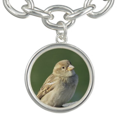 Bird Lover Photo Adorable Brown House Sparrow Bracelet