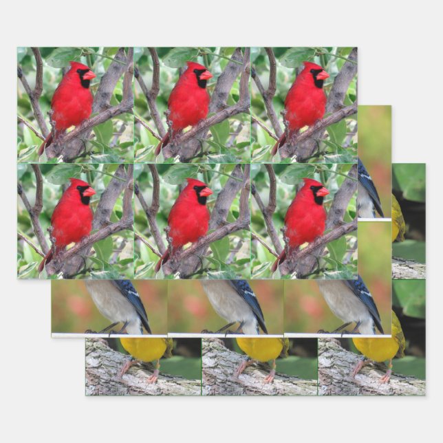 Bird Lover's - 3 Design - All Occasion Wrapping Paper Sheets (Set)