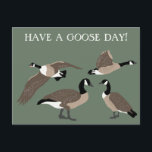 Bird Lovers Canada Geese Illustration Custom Postcard<br><div class="desc">Send the perfect greeting to your favorite bird lover with this customizable postcard. The HAVE A GOOSE DAY! message on the front can be customized with your own saying. Plus there's plenty of room on back for writing your own message. This postcard features realistic style illustrations of Canada geese in...</div>