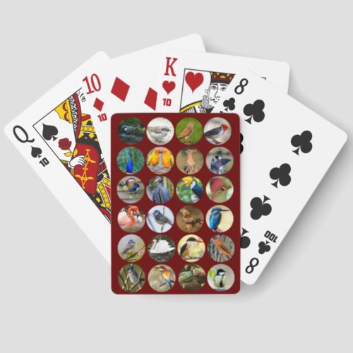 Bird Lovers Canasta Playing Cards