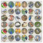 Bird Lovers Fabric