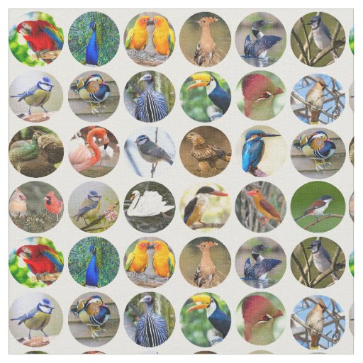 Bird Lovers Fabric