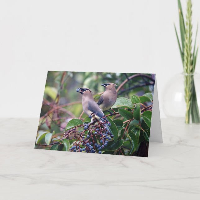 Bird Lunch Greeting Card (Blank Inside) (Front)