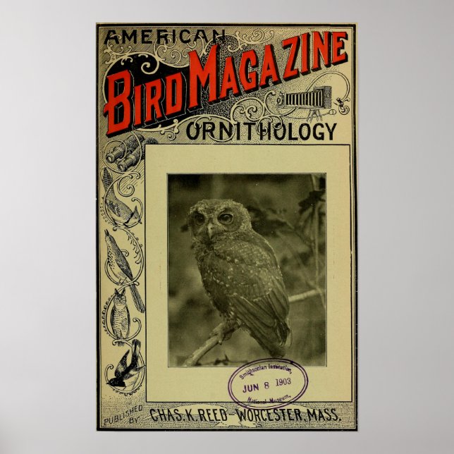 Bird Magazine jun 8 1903 Poster (Front)