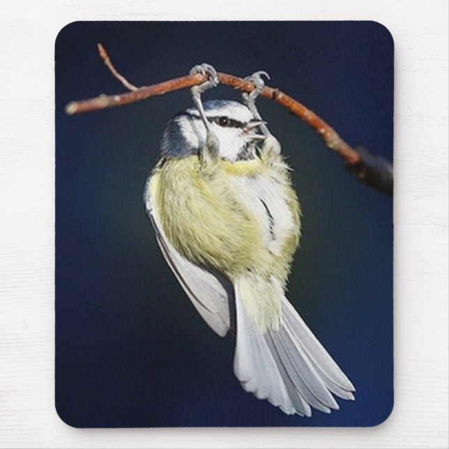 Bird Mouse Pad (Front)
