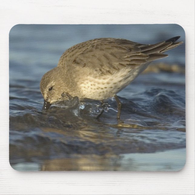 Bird Mouse pad 3 (Front)