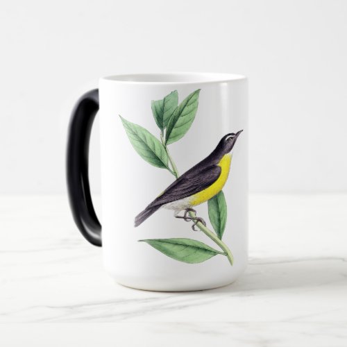 Bird mugs