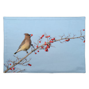 Bird Nature-Inspired Cloth Placemat