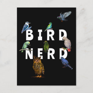 BIRD NERD, parrots, owl, pigeons, kookaburra Postcard
