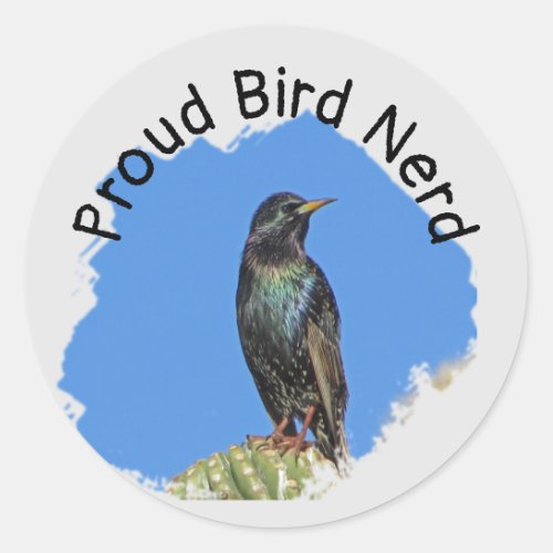 Bird Nerd Pretty Black Starling Cactus Birdwatcher Classic Round Sticker