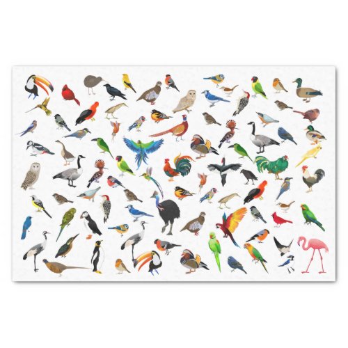 Bird Nerd Tissue Paper