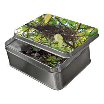 Bird Nest  Acrylic Puzzle by Susang6 at Zazzle