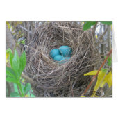Bird Nest Cards (Front Horizontal)