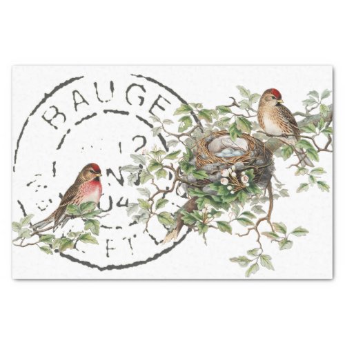 Bird Nest French Postmark Vintage Decoupage  Tissue Paper