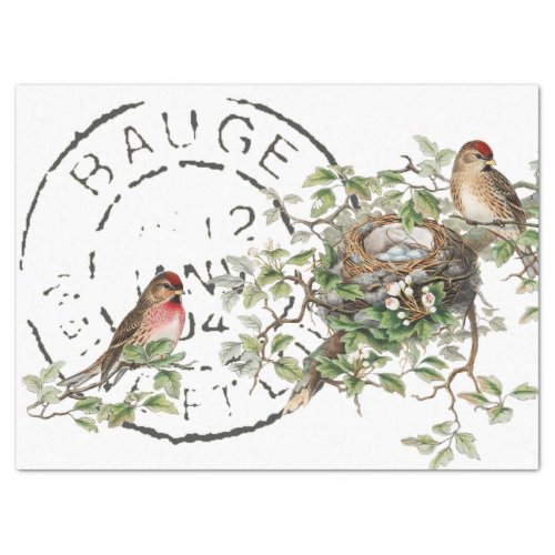 Bird Nest French Postmark Vintage Decoupage  Tissue Paper