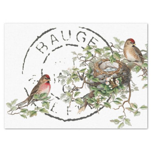 Bird Nest French Postmark Vintage Decoupage  Tissue Paper