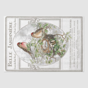 Bird Nest French Typography Garden Decoupage  Tissue Paper
