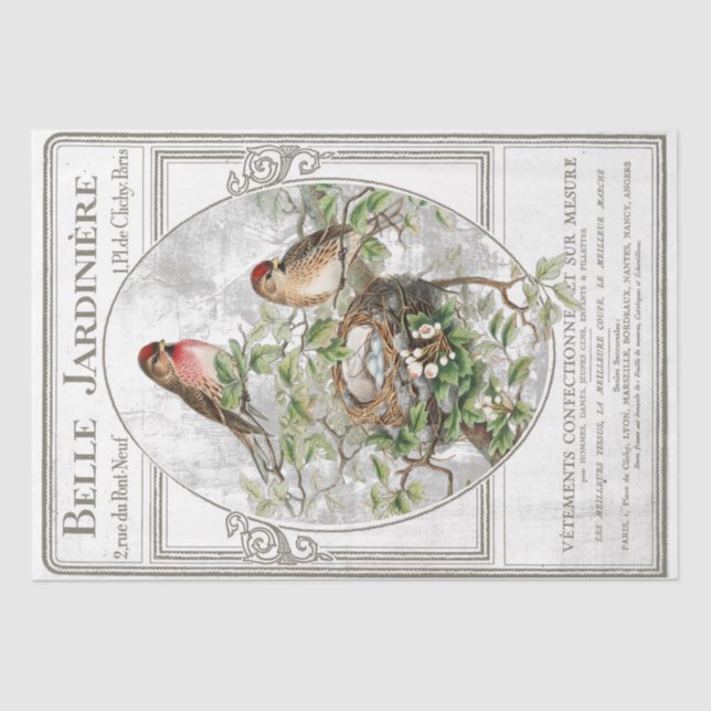 Bird Nest French Typography Garden Decoupage  Tissue Paper (Front)
