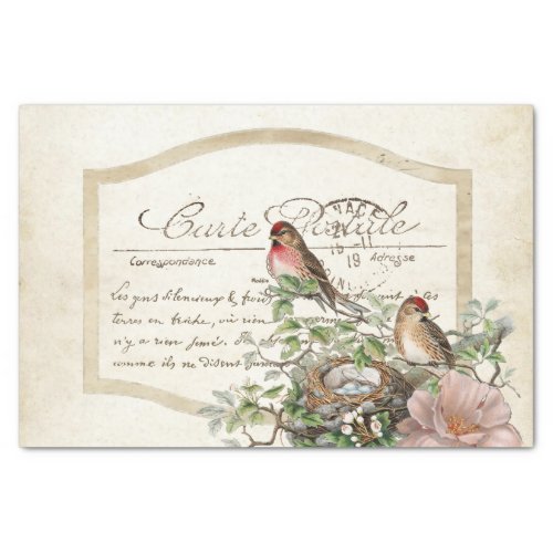 Bird Nest Gold Floral Carte Postale French Script  Tissue Paper