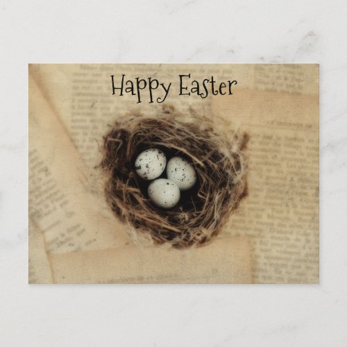 Bird Nest Old Vintage Antique Retro Brown Eggs Holiday Postcard