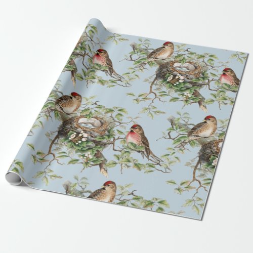 Bird Nest Pattern Vintage Blue Nature Decoupage    Wrapping Paper