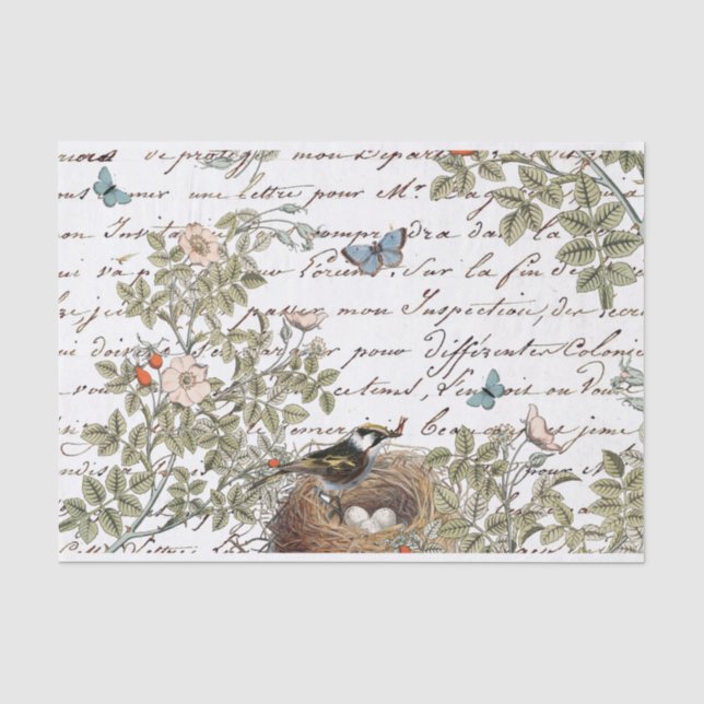 Bird Nest Pink Rose Butterfly Gold French Script Tissue Paper (Front)