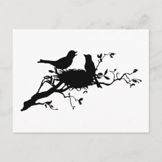 Bird Nest Postcard